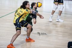 IMG_8474