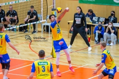 23110247-697B-4D0E-89E6-C065F701B4D2