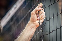 IMG_4782