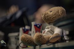 IMG_6074