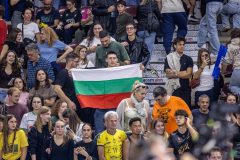 IMG_8941