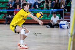 IMG_8161